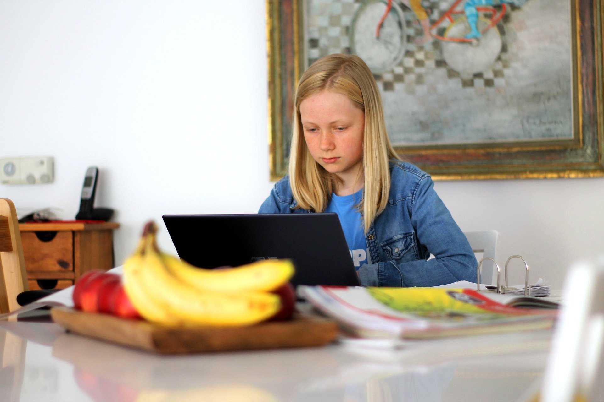 A child sits at a desk looking at a laptop